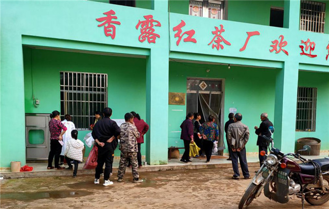 一壺好茶送春來——“精準(zhǔn)扶貧企業(yè)品牌”香露紅(圖10)